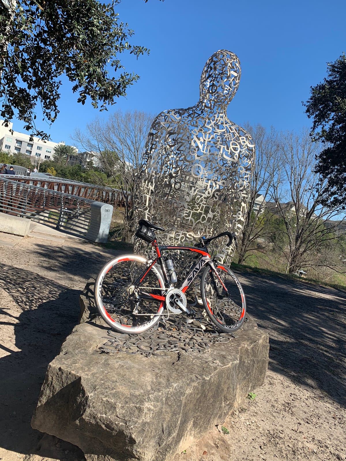 SAVADECK A7L 2026 Carbon Road Bike - T800 Carbon Fiber Frame, with Shimano 105 R7100 24-Speed Groupset, Hydraulic Disc Brake, 700C Racing Bicycle for Men & Women customer photo 2