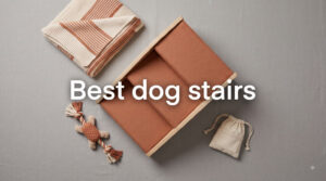 Best dog stairs