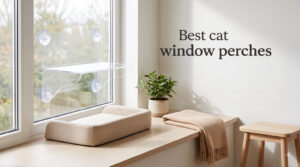 Best cat window perches