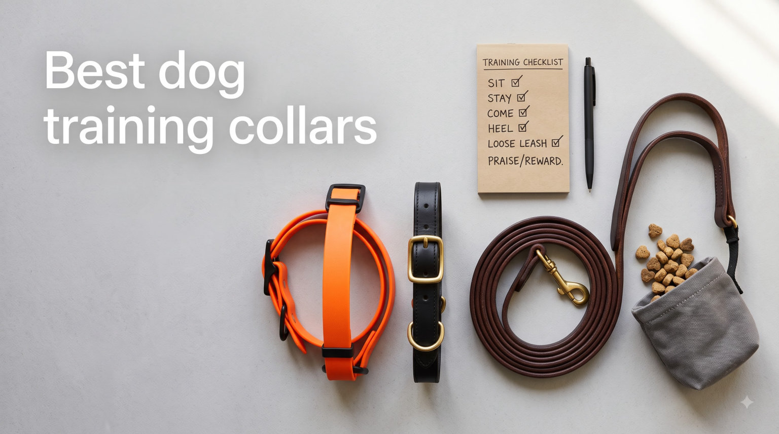 Best dog training collars