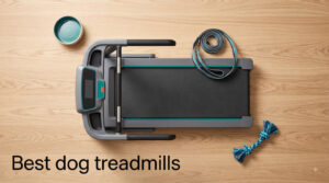 Best dog treadmills