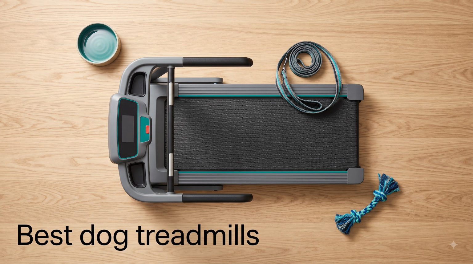Best dog treadmills