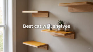 Best cat wall shelves