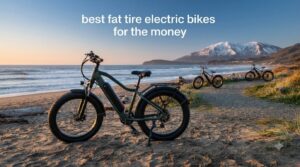 best fat tire electric bikes for the money