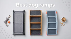 Best dog ramps