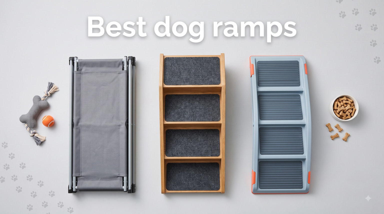 Best dog ramps