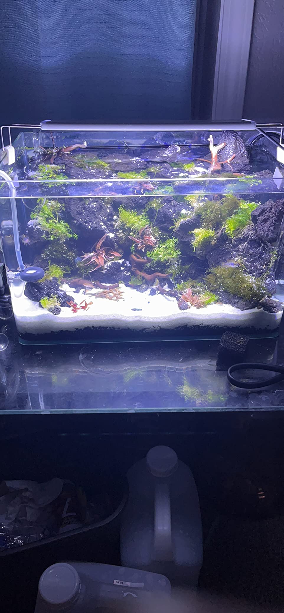 Zoo Med Turtle Clean 15 External Canister Filter customer photo 2