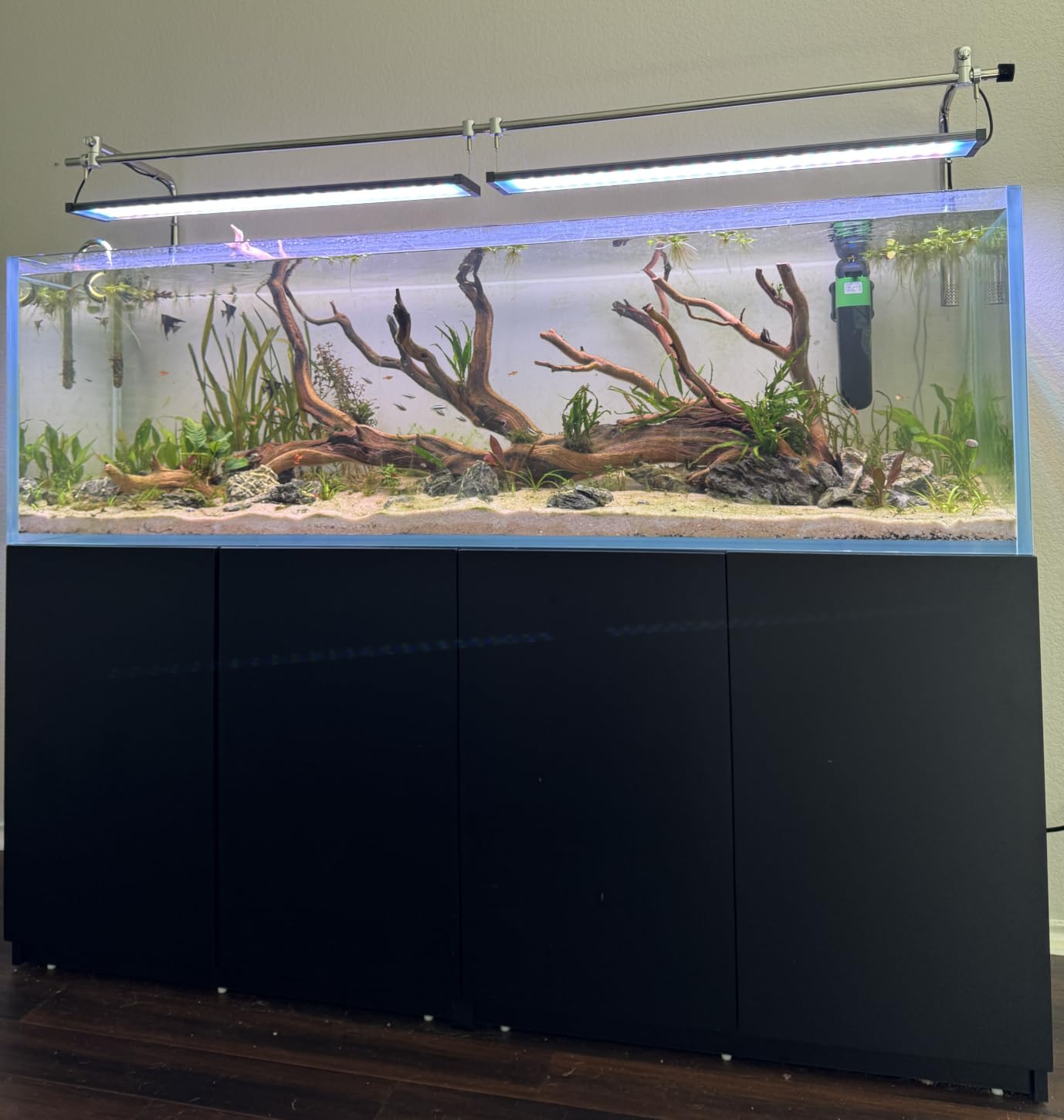 Landen Aquarium 36N 5 Gallon Nano Ultra Clear Glass Rimless Fish Tank customer photo 1