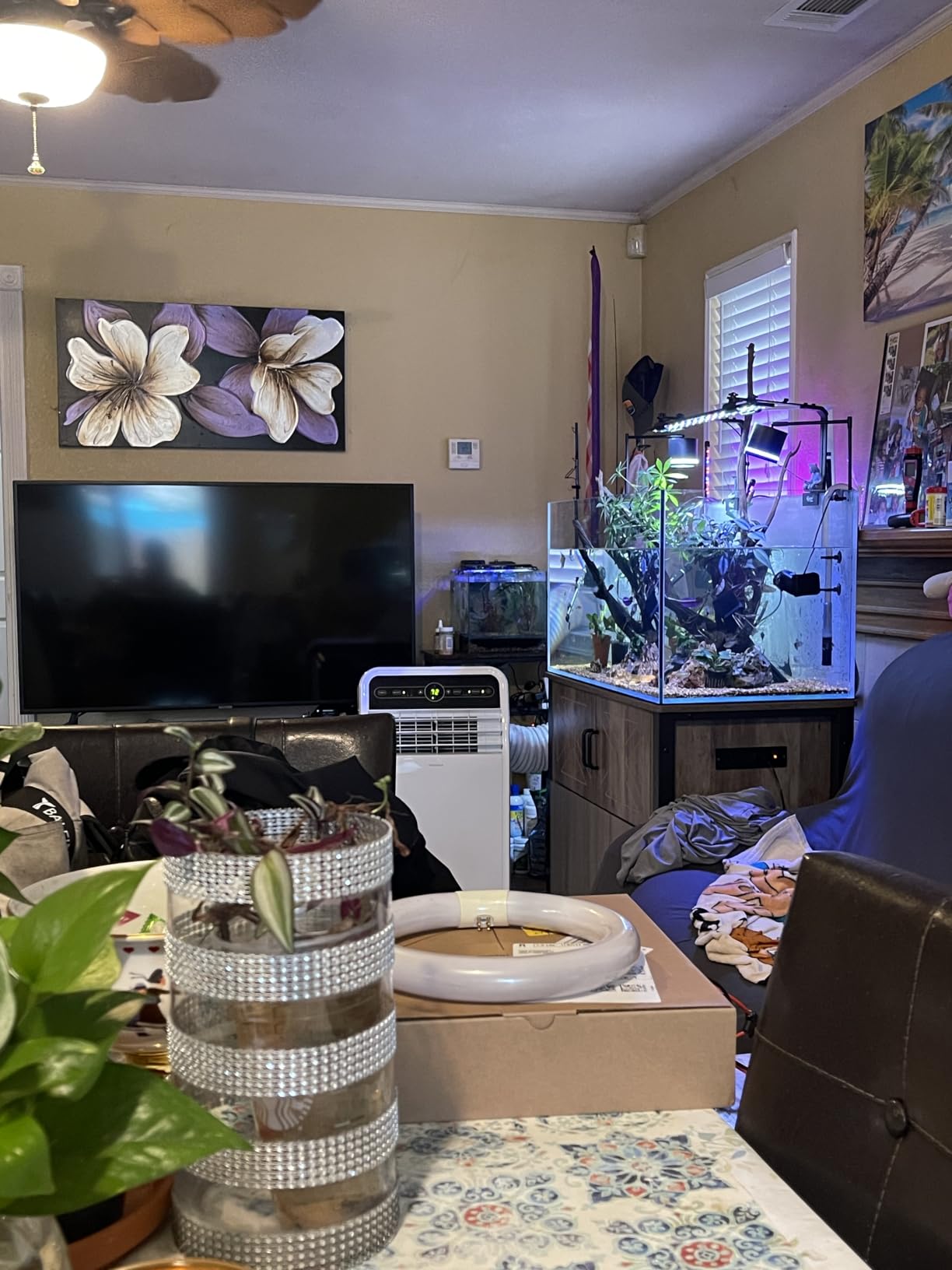 LANDEN Aquarium 60P 16 Gallon Ultra Clear Glass Rimless Fish Tank customer photo 1