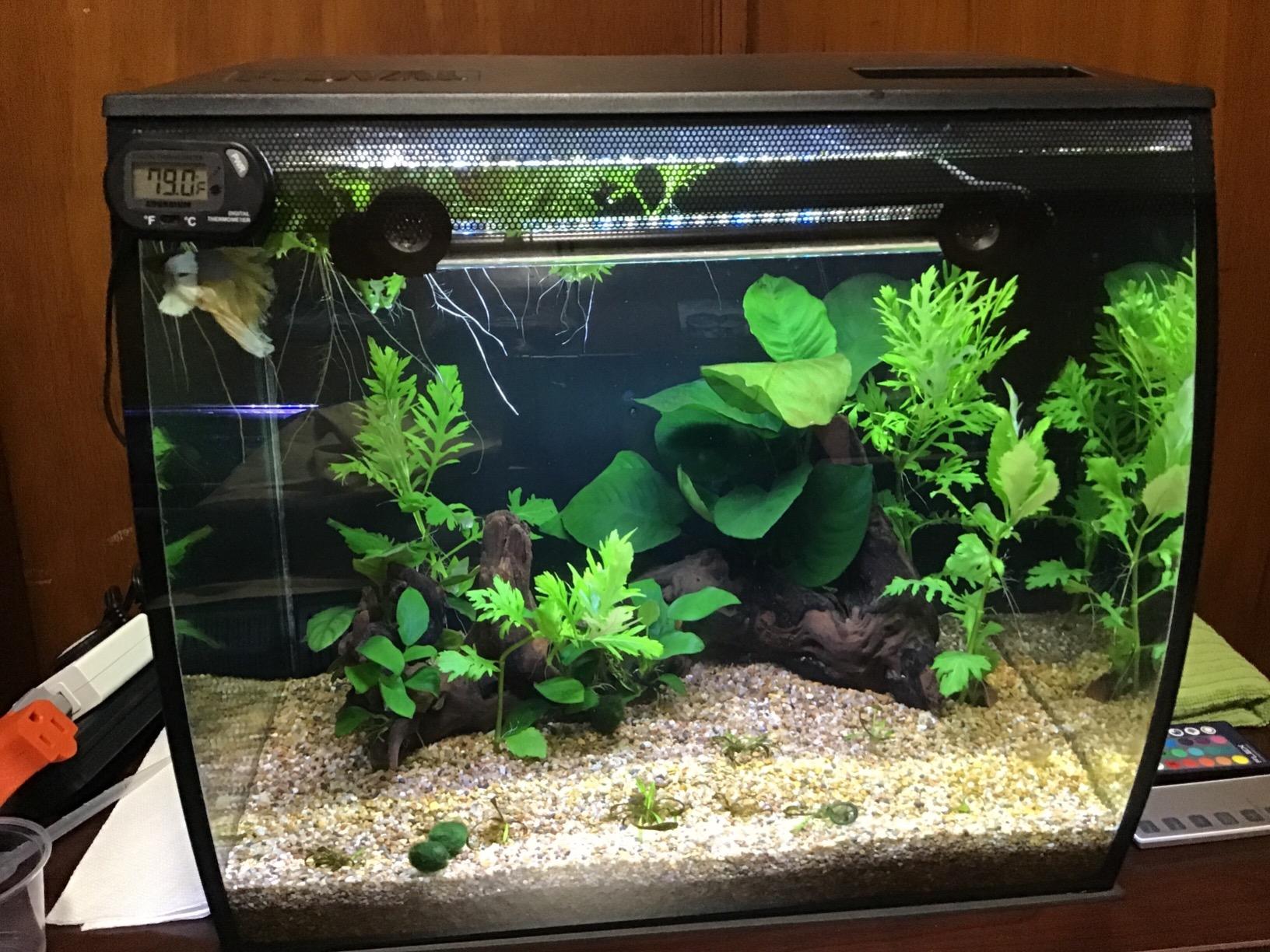 Fluval Flex 57 - 15 Gallon Nano Glass Aquarium Kit customer photo 2