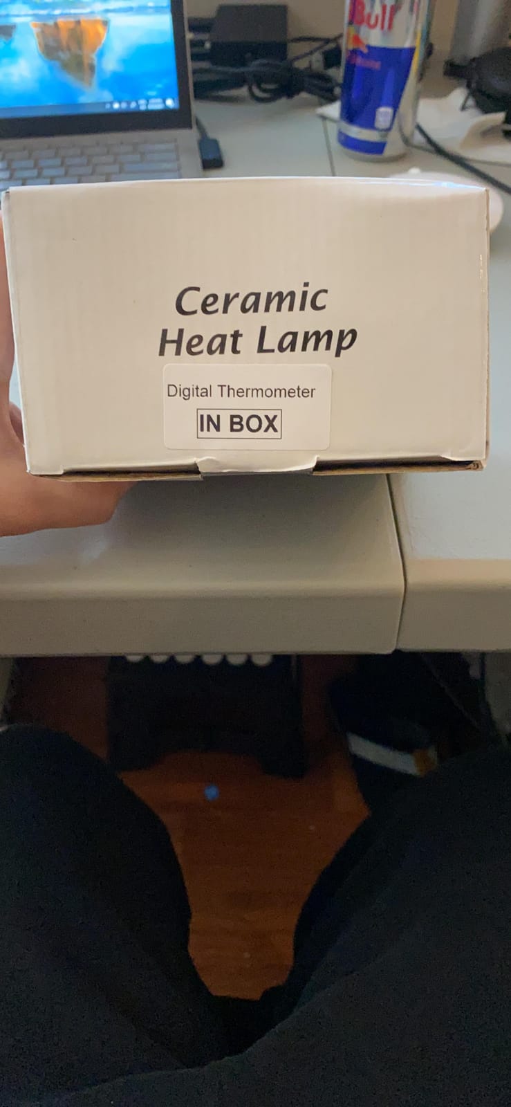 2-Pack 100W Ceramic Heat Lamps with 1-pcs Digital-Thermometer customer photo 1