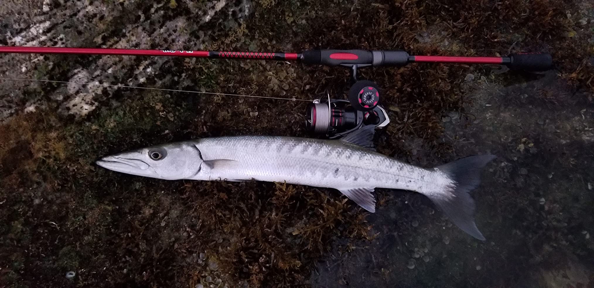 Ugly Stik Carbon Spinning Fishing Rod customer photo 1
