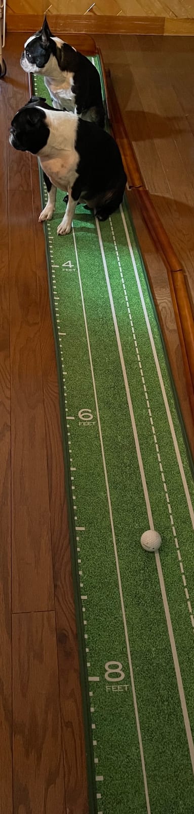 Perfect Practice Standard 9' Putting Mat - Indoor Putting Green customer photo 1