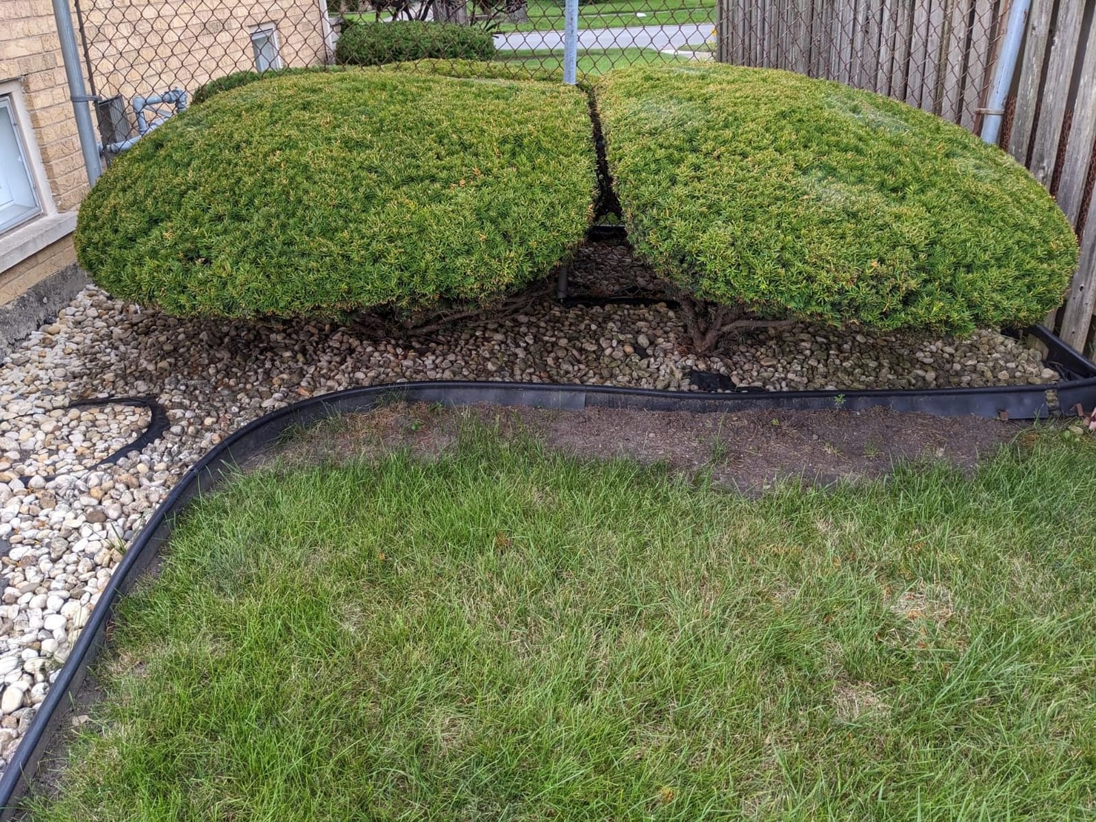 CRAFTSMAN V20 Pole Hedge Trimmer Cordless, 18-Inch, Battery and Charger Included Hedge Trimmer with Extension Pole, Up to 11 Ft Extended Reach (CMCPHT818D1) customer photo 2