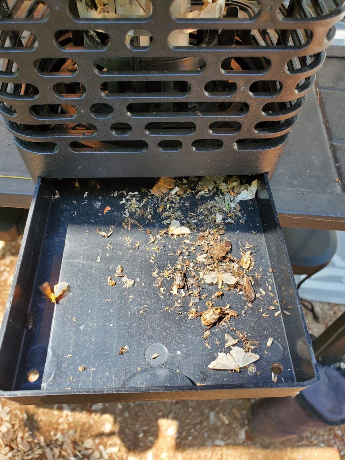 BLACK+DECKER Bug Zapper, Electric UV Insect Catcher & Killer for Flies, Mosquitoes, Gnats & Other Small to Large Flying Pests, 1 Acre Outdoor Coverage for Home, Deck, Garden, Patio, Camping & More customer photo 1