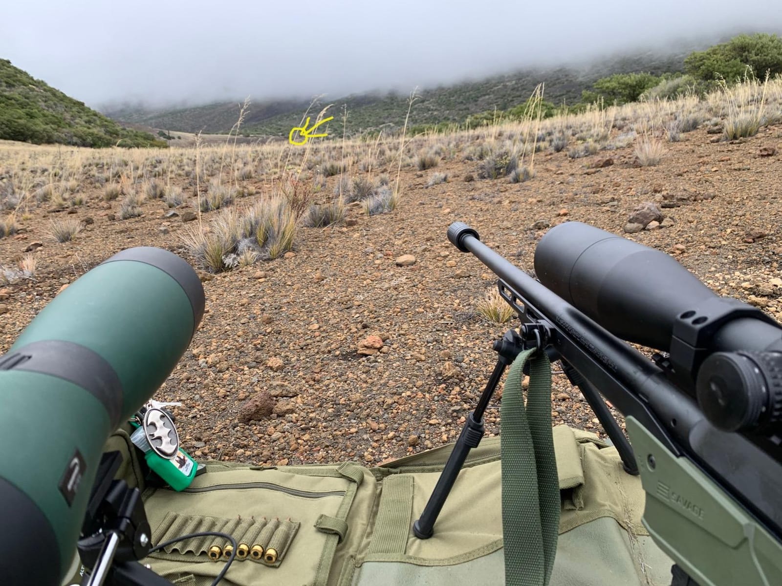 Vortex Strike Eagle First Focal Plane Riflescopes customer photo 2