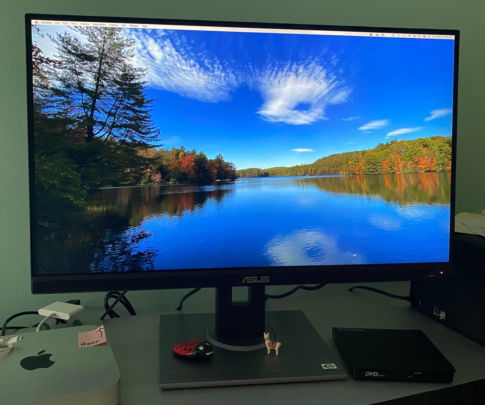 ASUS ProArt PA278QV 27 Inch 1440p QHD Professional Monitor customer photo 1
