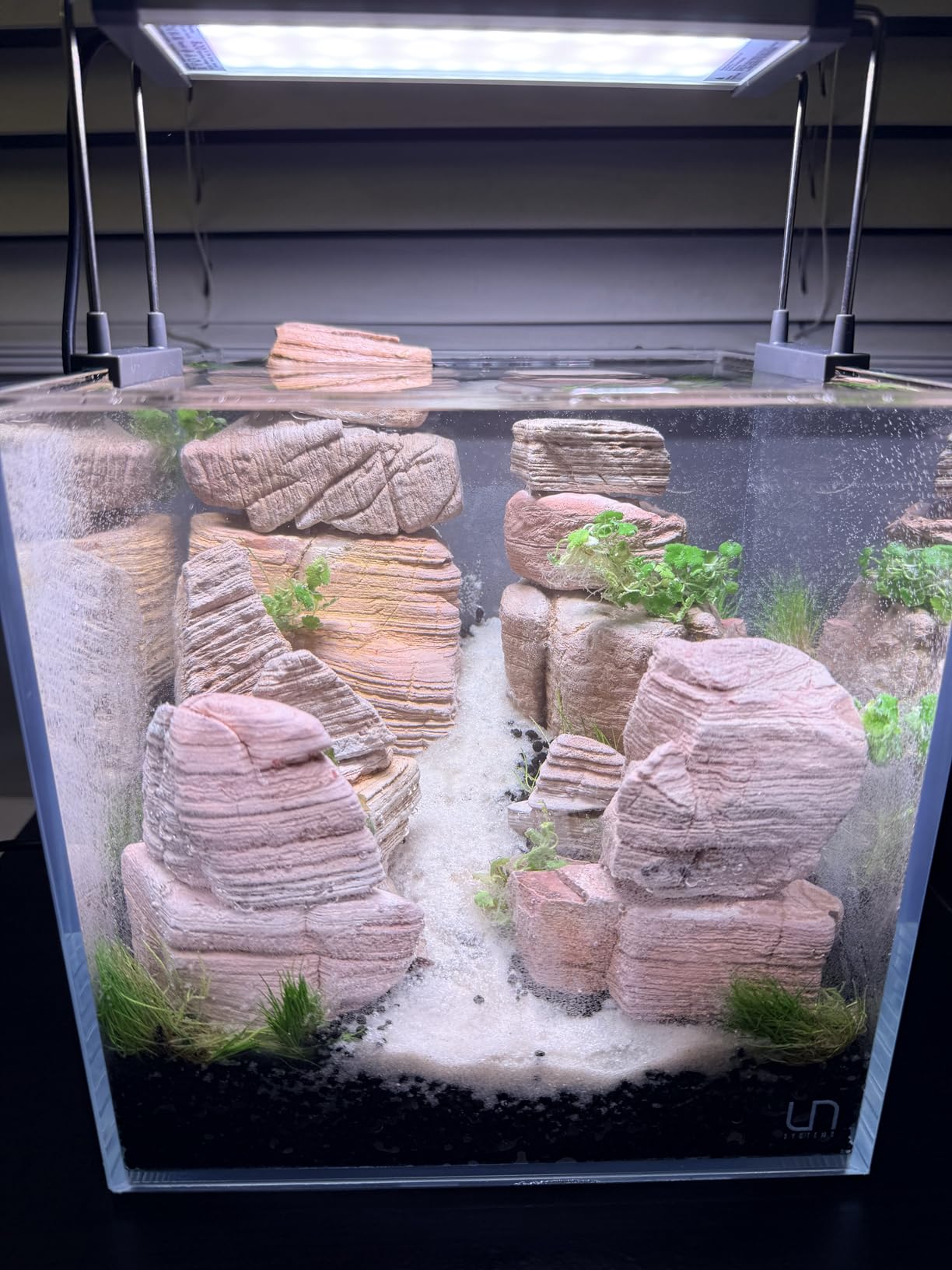 | BEGONDIS Rimless Low-Iron Glass Aquarium, 9.5 Gal, 17.7 × 11 × 11.8 in customer photo 2
