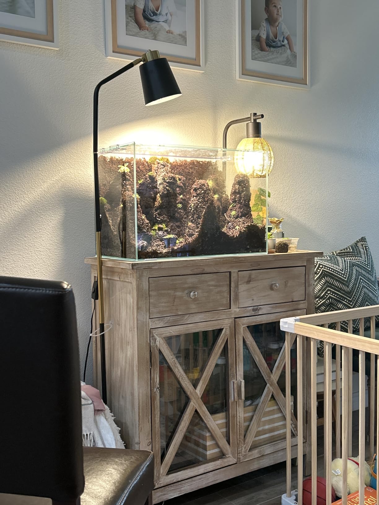 Low Iron Glass Ultra Clear Rimless Aquarium Tank,Classic Silhouette (7Gal) customer photo 1