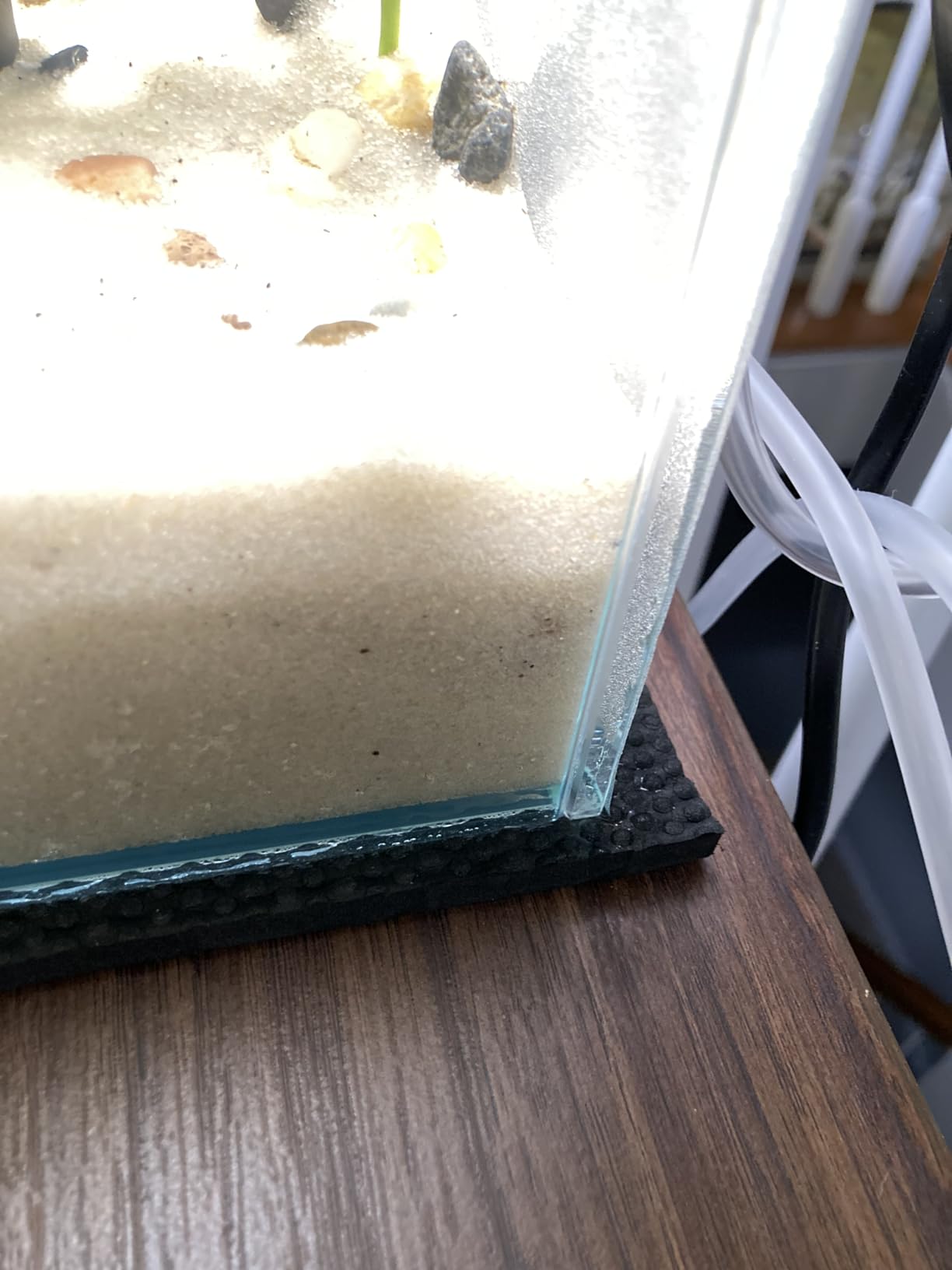 Low Iron Glass Ultra Clear Rimless Aquarium Tank,Classic Silhouette (7Gal) customer photo 2