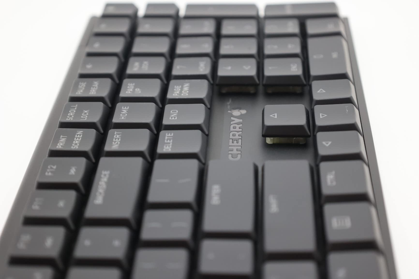 Cherry MX 10.0N RGB Mechanical Keyboard MX Low Profile Speed switches, Aluminum housing, Premium Keyboard for Gaming and Work. G8A-25010LVBUS-2 customer photo 2