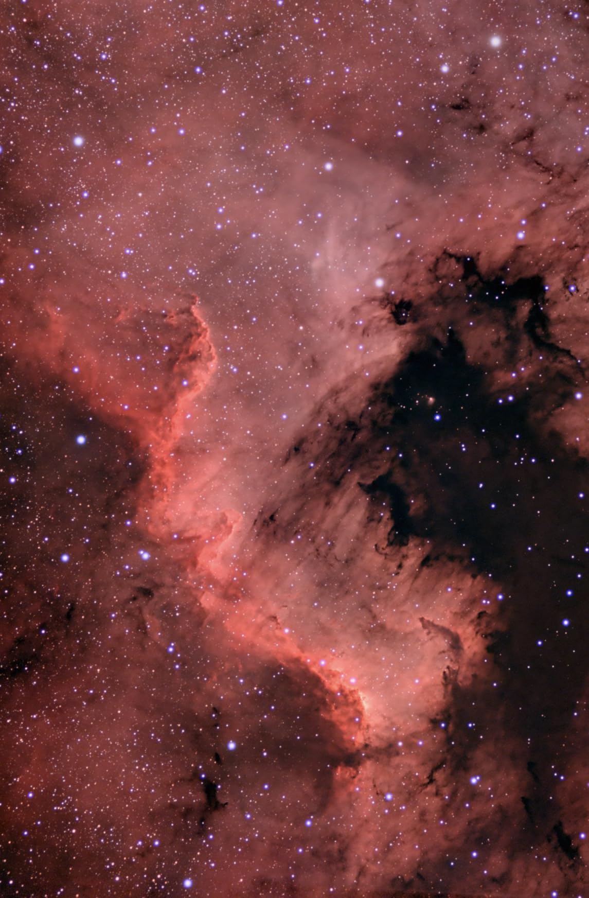 SVBONY SV405CC Astrophotography Camera, Cooled Telescope Eyepiece IMX294 customer photo 2