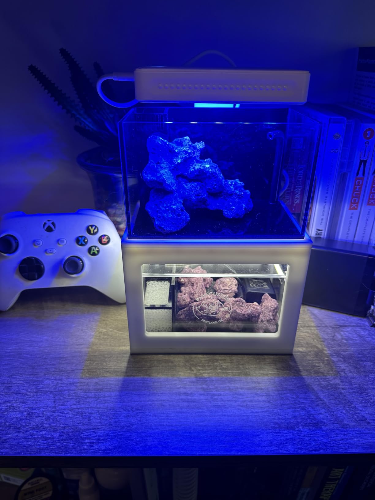 40 oz (Black) Micro Reef Ready Aquarium | Small Desktop Saltwater Fish Tank with LED Light, Sump, Pump | Freshwater & Saltwater customer photo 2