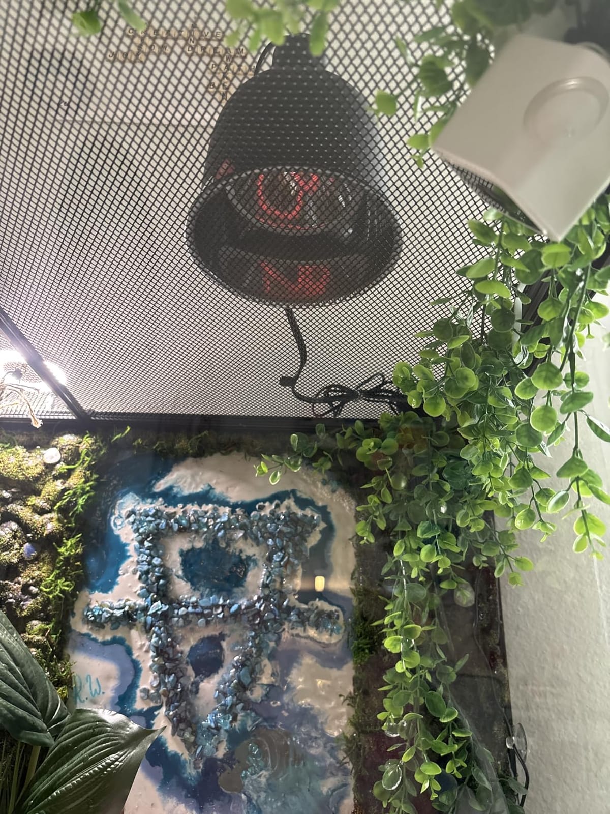 80W Deep Heat Infrared Projector Lamp for Reptiles, Emits Infrared A & B Wavelengths, Reptiles Basking Light Heat Lamp Bulbs with Reflector for Bearded Dragons, Turtles, Snakes, Lizards, etc. customer photo 2