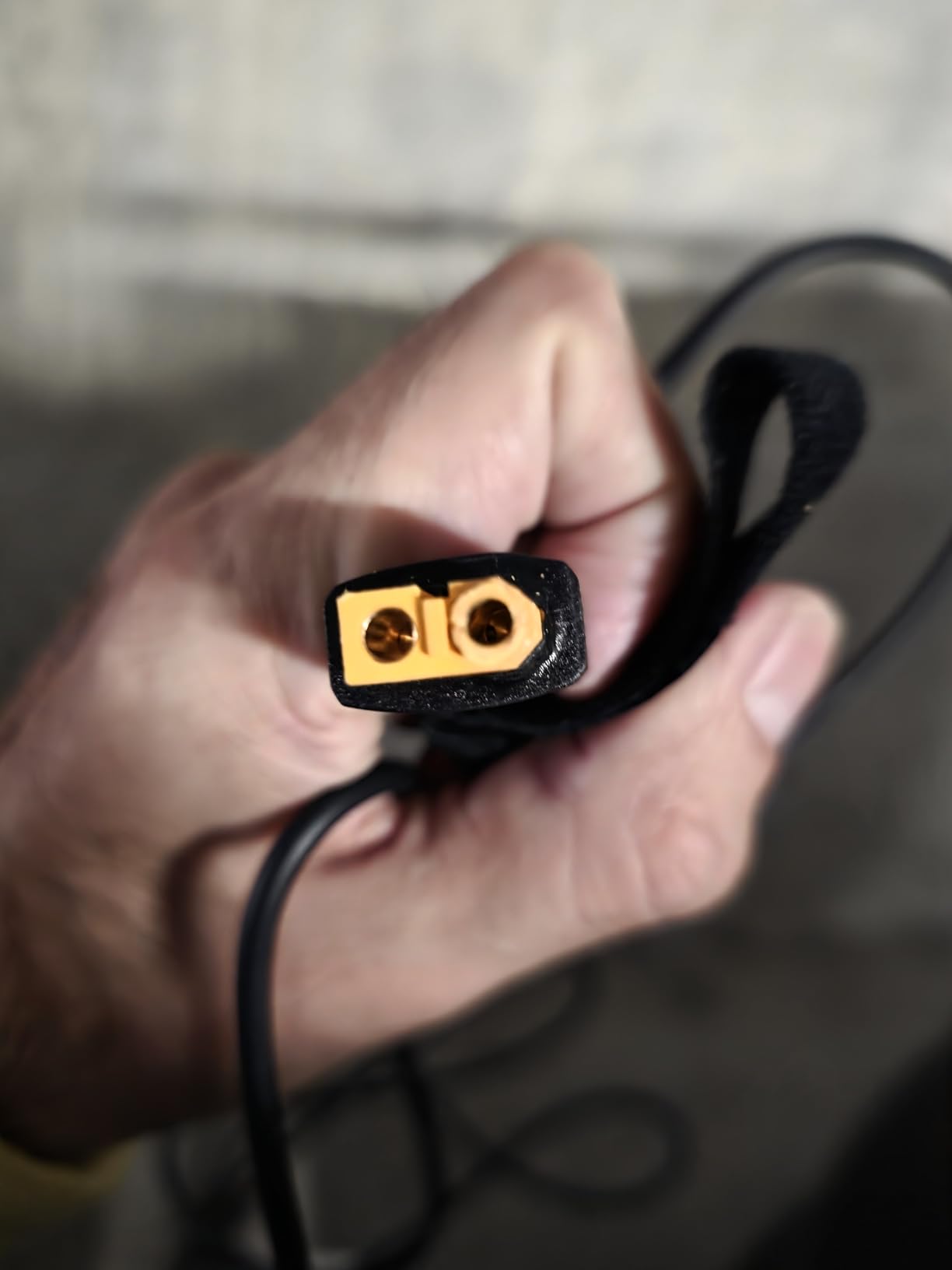 Anker SOLIX Car Charging Cable (Male Car Outlet to Female XT60) customer photo 2