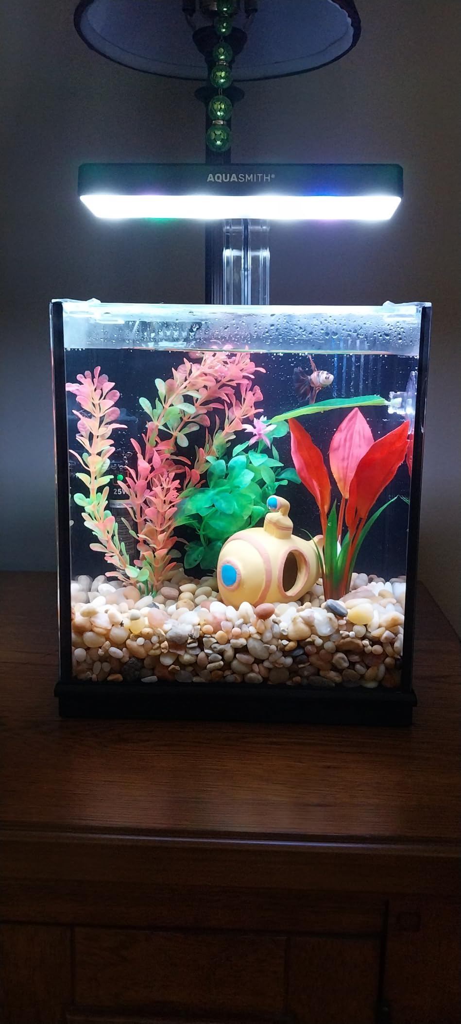 AQUASMITH 2-Gallon All-in-One Fish Tank – Silent Pump, 3-Stage Filtration & Easy Water Change, Perfect Self-Care Betta Aquarium Kit for Kids & Beginners (White customer photo 1