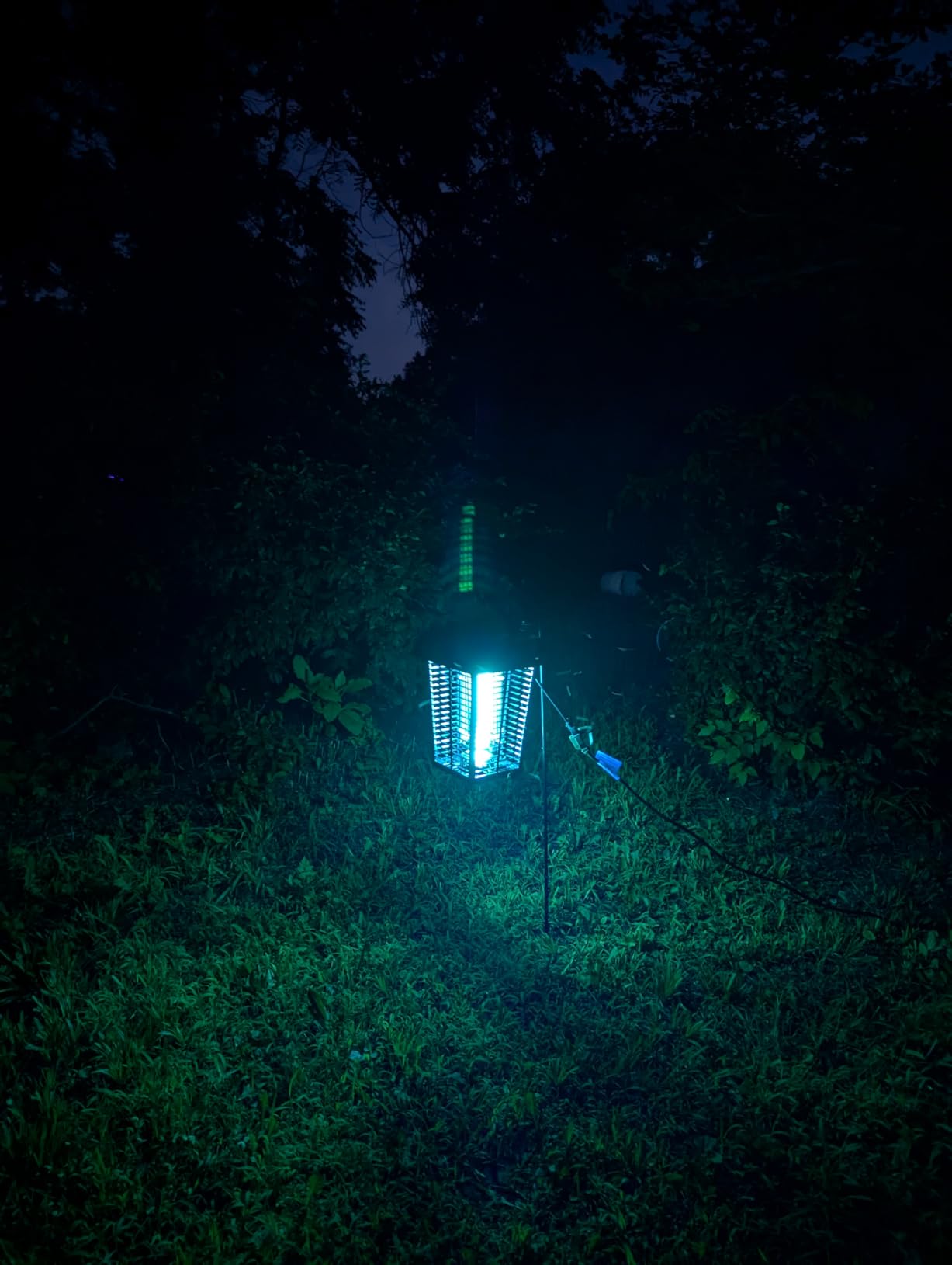 Flowtron Electric Bug Zapper, 1 Acre Outdoor, 40W UV, 5600V Zap, Green customer photo 2