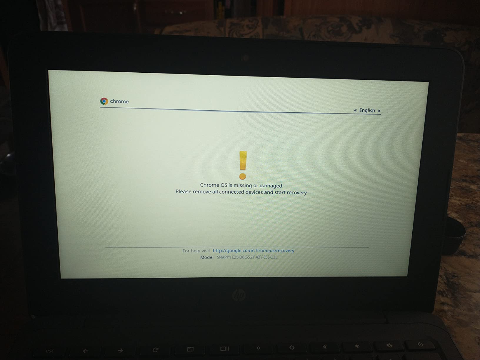 HP Ultra Light Laptop 2026 Students, Office 365, Intel Processor, 8GB RAM customer photo 1