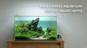 best rimless aquarium kits for aquascaping