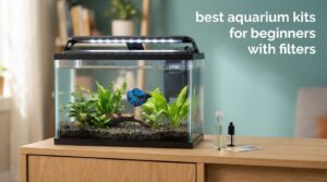 best aquarium kits for beginners with filters